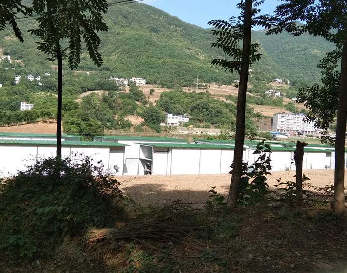  案例展示